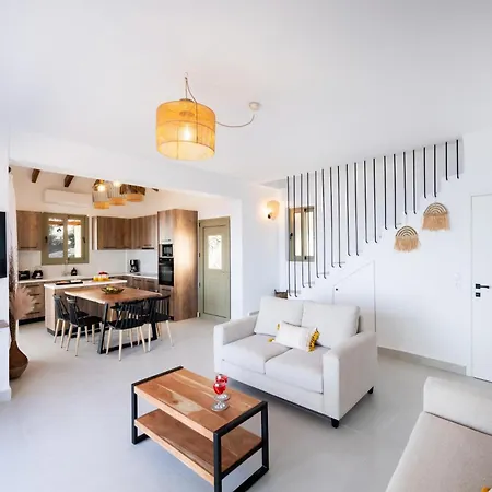 Cactus By Vintage Travel Willa Sivota