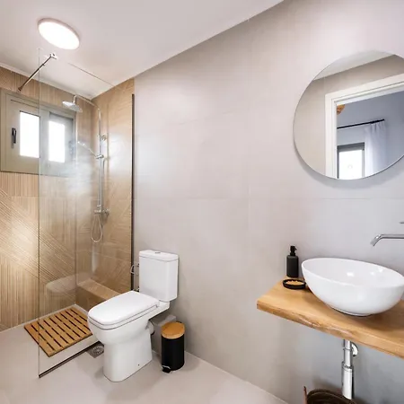 Cactus By Vintage Travel