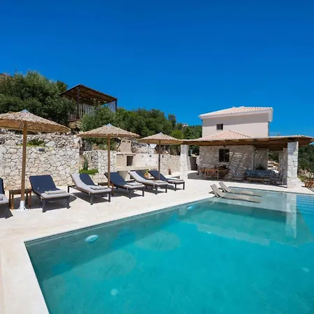 Cactus By Vintage Travel