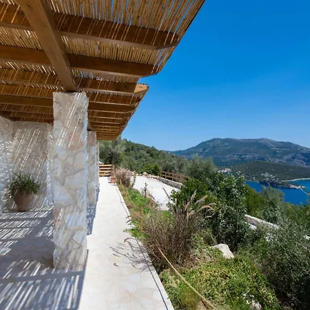 Willa Cactus By Vintage Travel *